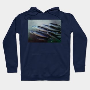 Sardinhas Hoodie